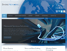 Tablet Screenshot of diversenetworksllc.com